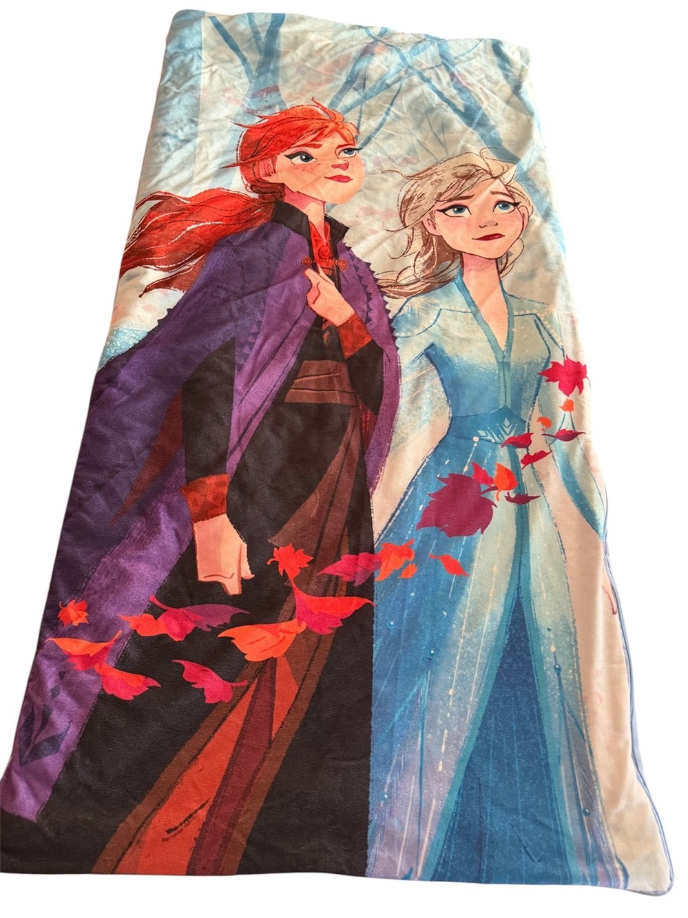Disney Frozen 2 Anna & Elsa Kids Slumber Bag Sleeping Bag